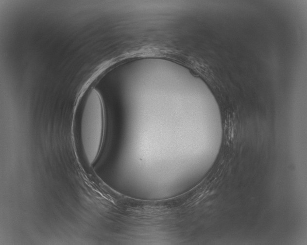 X0000054370292200507290838