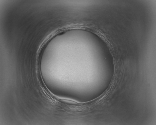 X0000054370293200507290838