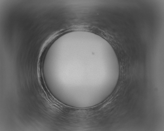 X0000054370294200507290838