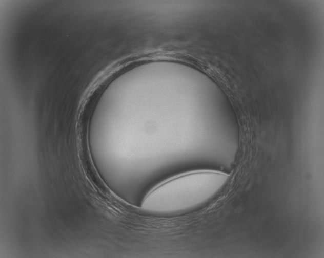 X0000054370295200507290838