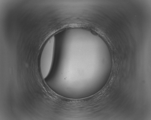 X0000054370297200507290838