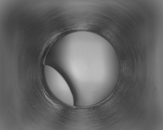 X0000054370302200507290838