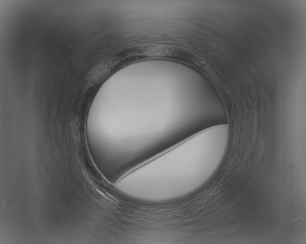 X0000054370303200507290838