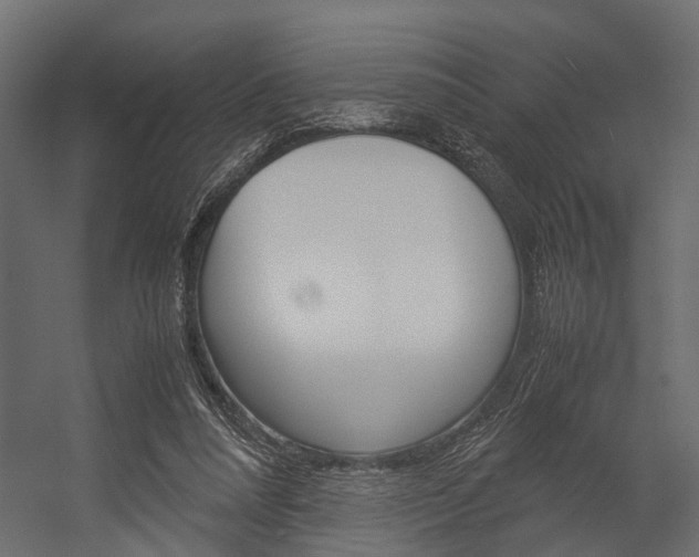 X0000054370304200507290838