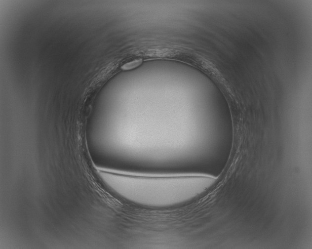 X0000054370305200507290838