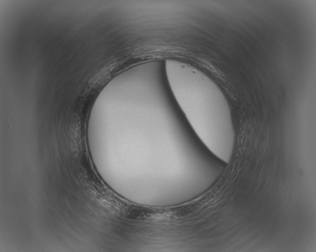 X0000054370306200507290838