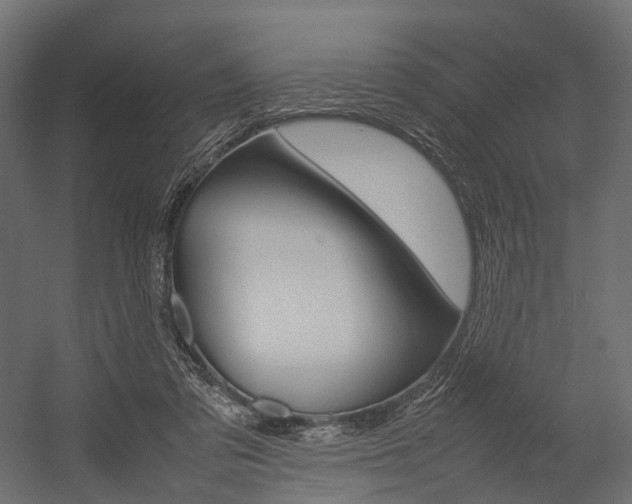 X0000054370309200507290838