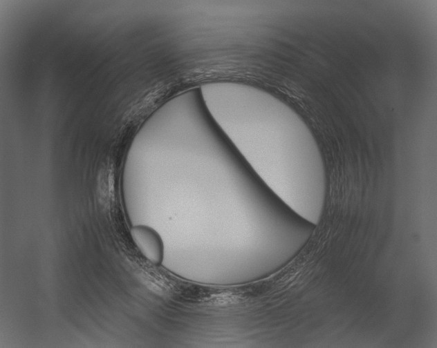 X0000054370310200507290838