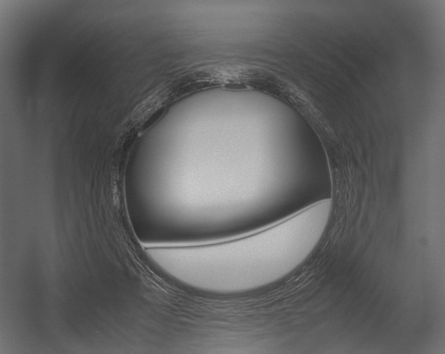 X0000054370313200507290838