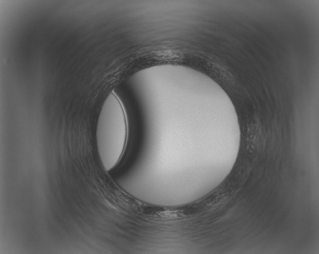 X0000054370320200507290837