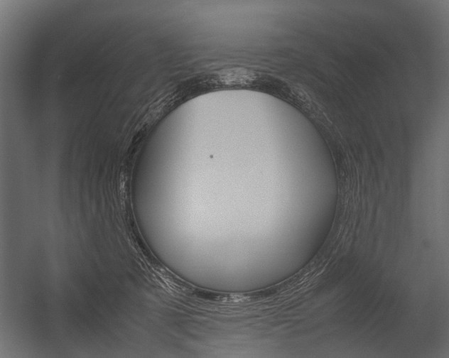 X0000054370321200507290837