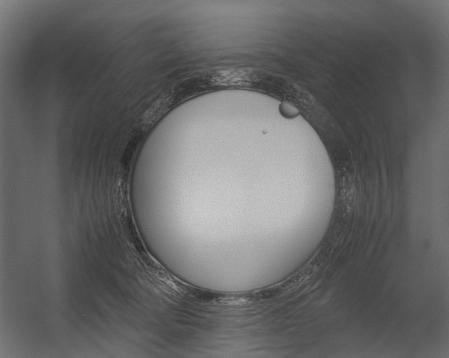 X0000054370322200507290837