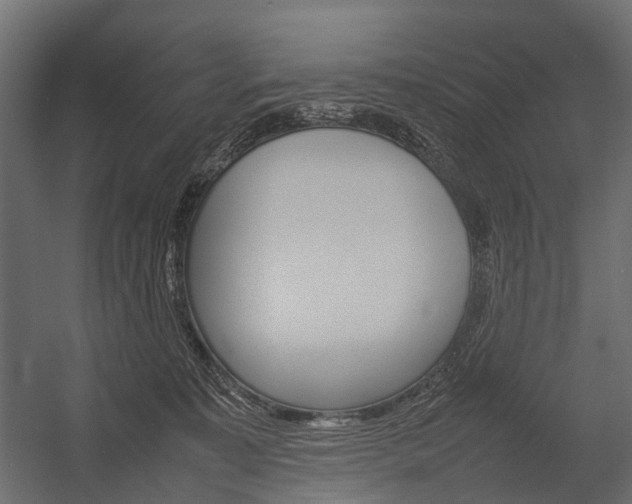 X0000054370323200507290837