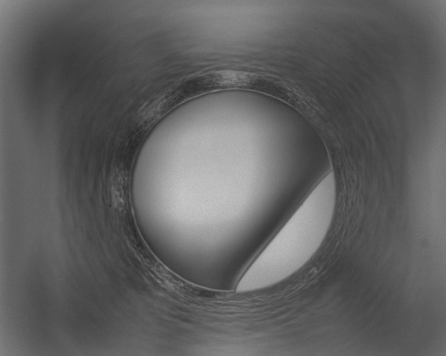 X0000054370325200507290837