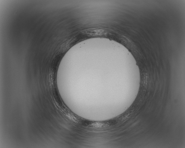 X0000054370326200507290837