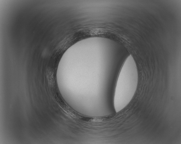 X0000054370327200507290837