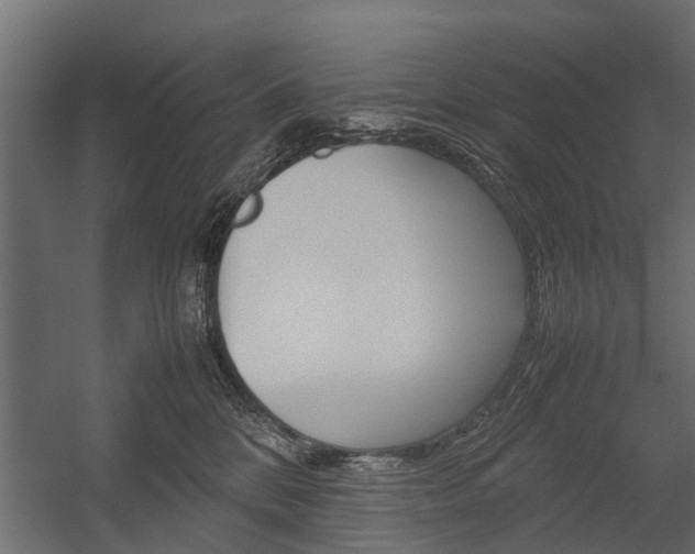 X0000054370328200507290837