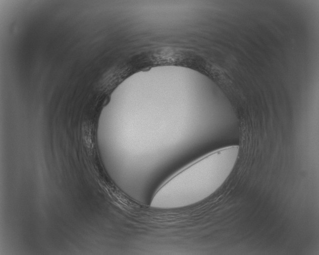 X0000054370331200507290837