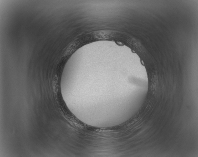 X0000054370332200507290837