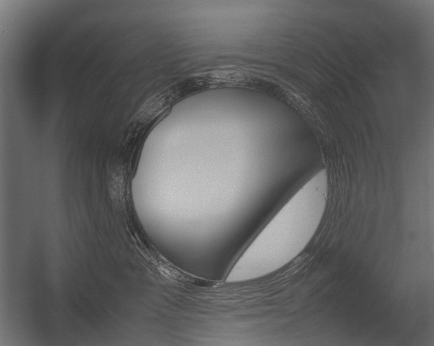 X0000054370333200507290837
