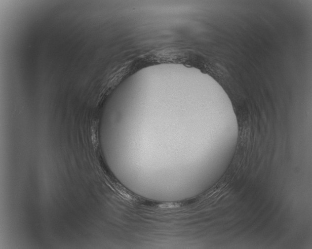 X0000054370335200507290837