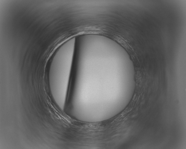 X0000054370338200507290836