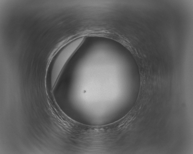 X0000054370340200507290836