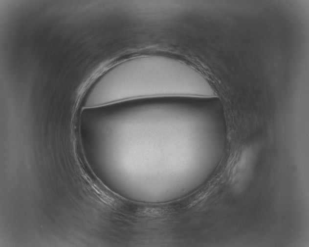 X0000054370341200507290836