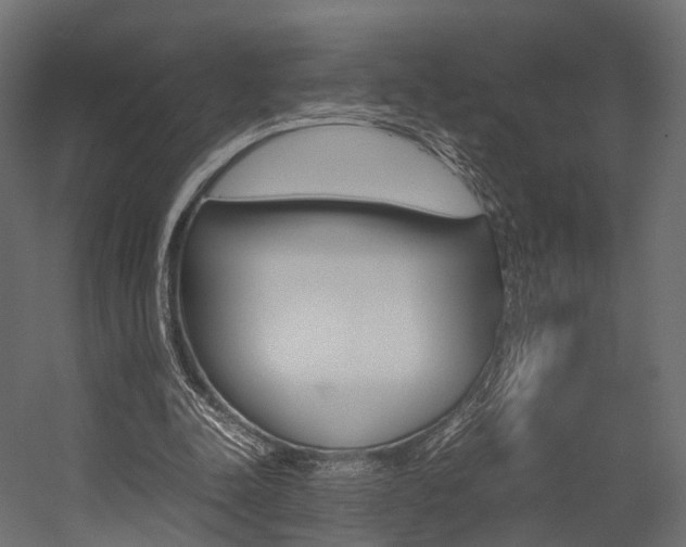 X0000054370342200507290836