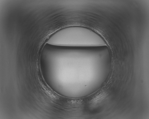 X0000054370345200507290837