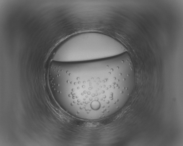 X0000054370346200507290837