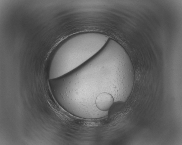 X0000054370347200507290837