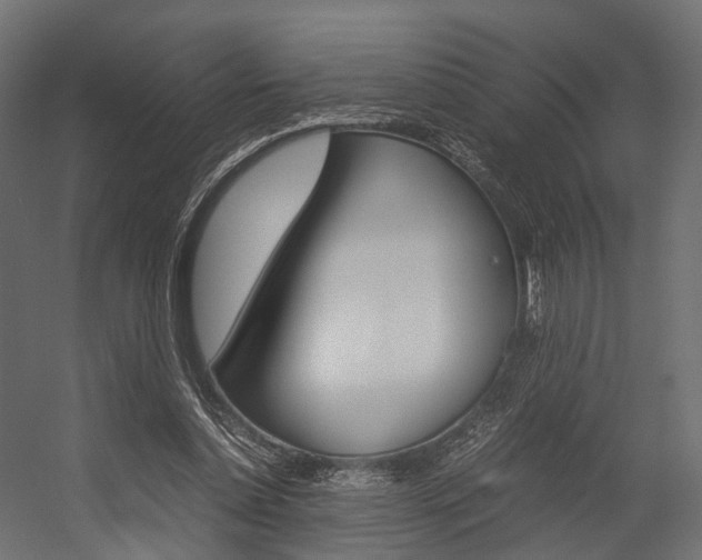 X0000054370348200507290837