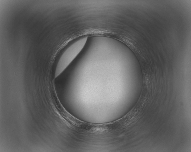 X0000054370352200507290837