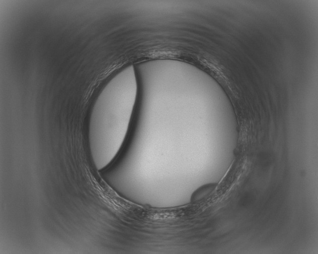X0000054370353200507290837