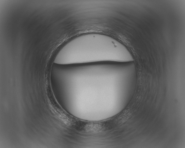X0000054370354200507290837