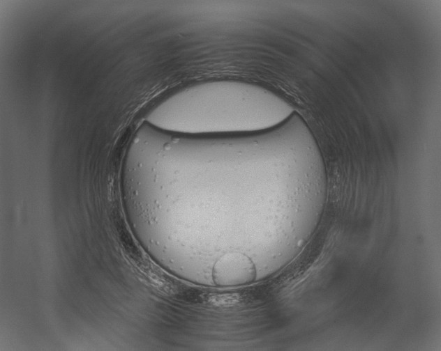 X0000054370355200507290837
