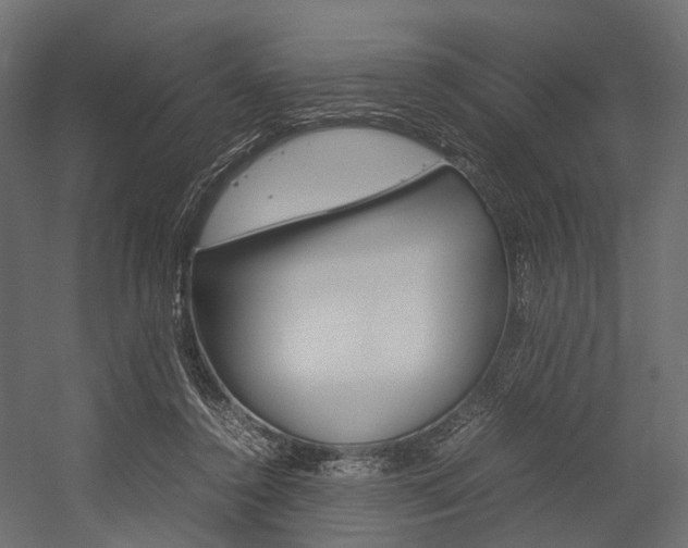 X0000054370356200507290837