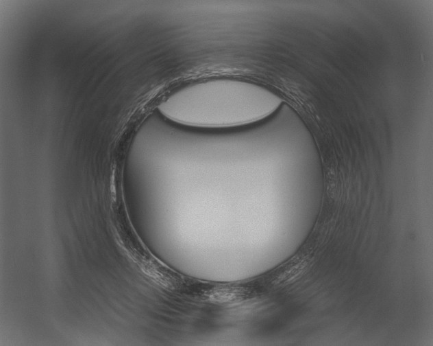 X0000054370358200507290837