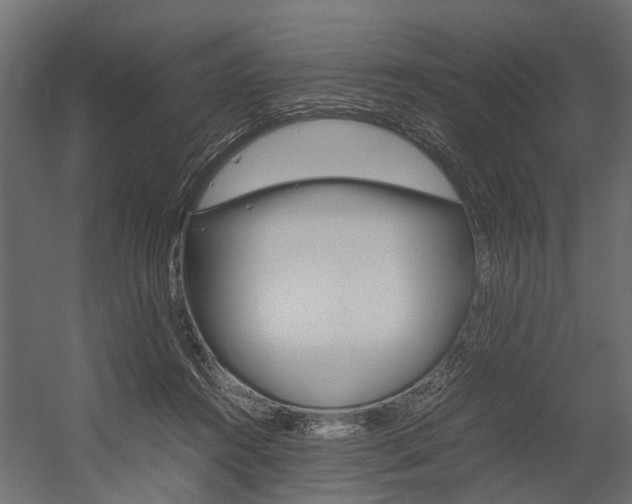 X0000054370360200507290837