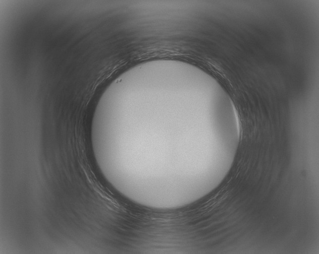 X0000054370362200507290837