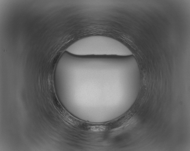 X0000054370363200507290837