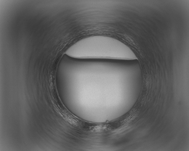 X0000054370366200507290837