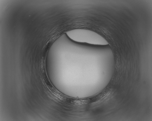 X0000054370367200507290837