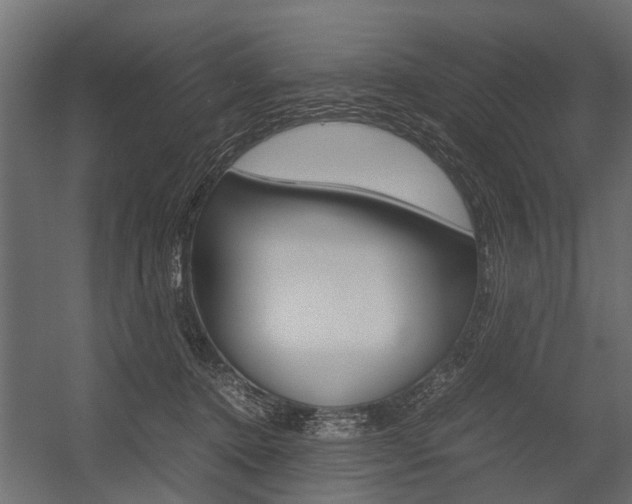 X0000054370368200507290837