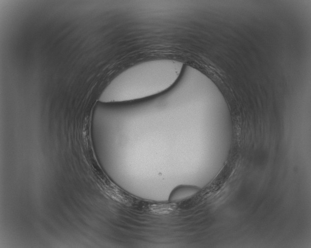 X0000054370373200507290837