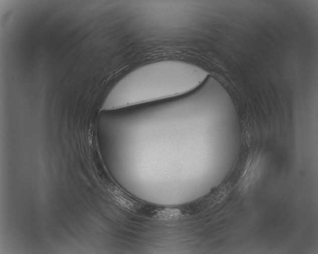 X0000054370374200507290837