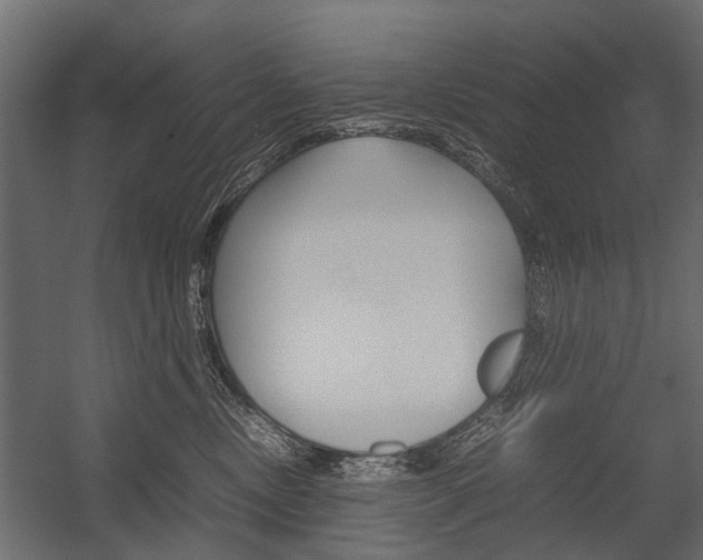 X0000054370378200507290837