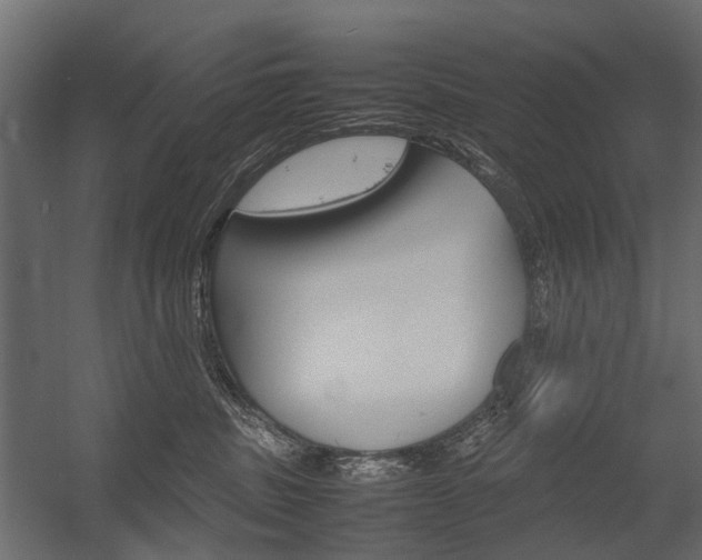 X0000054370379200507290837