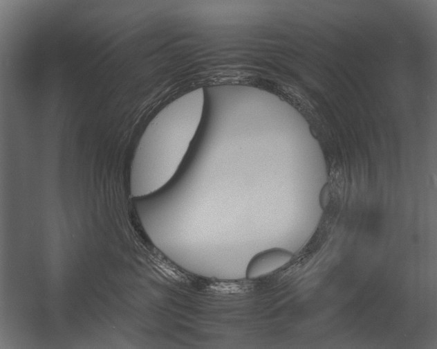 X0000054370381200507290837